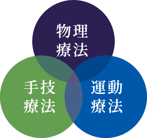 物理療法　手技療法　運動療法